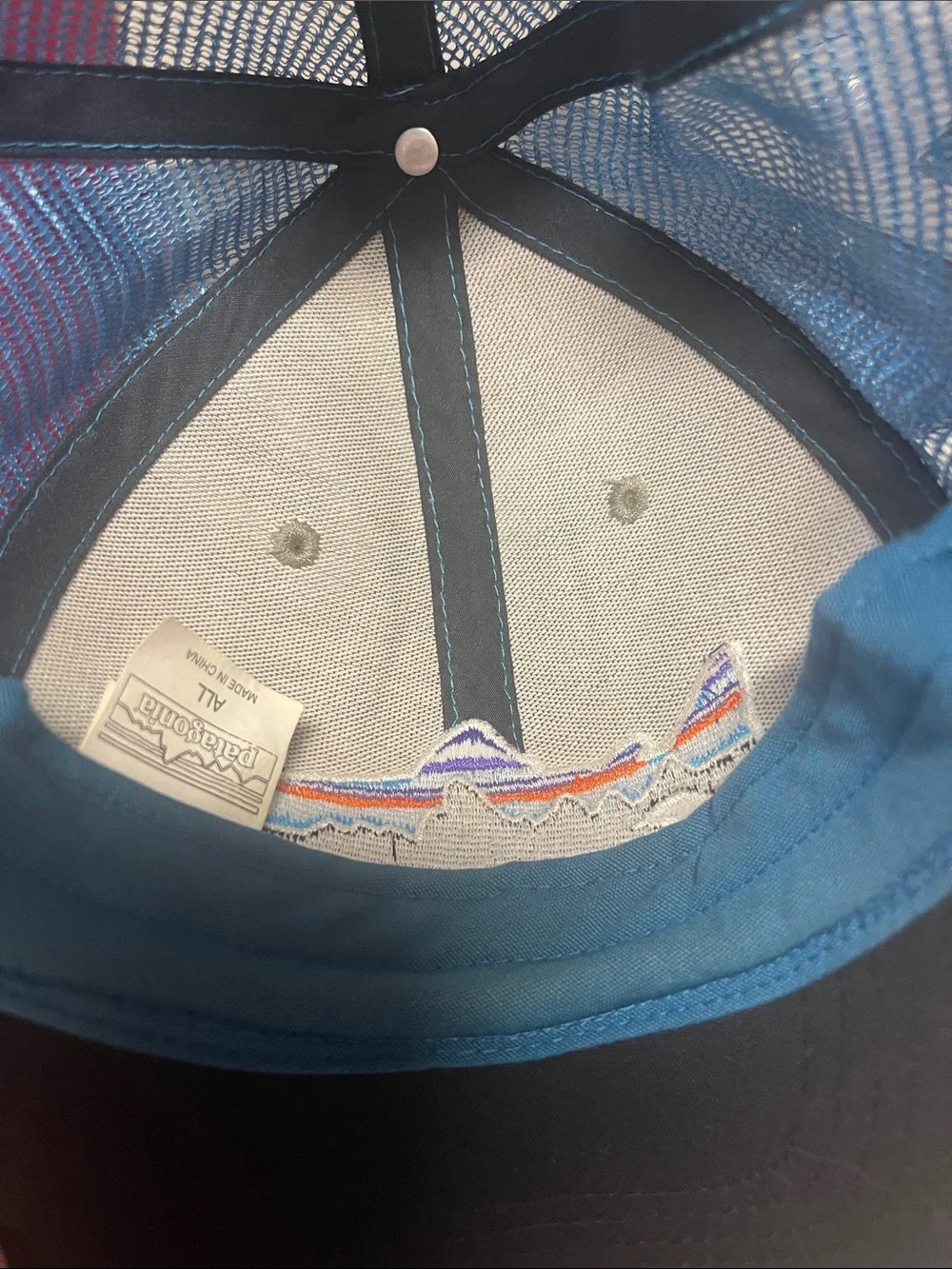 Trucker Hat with Colorful Fish Patch - Patagonia